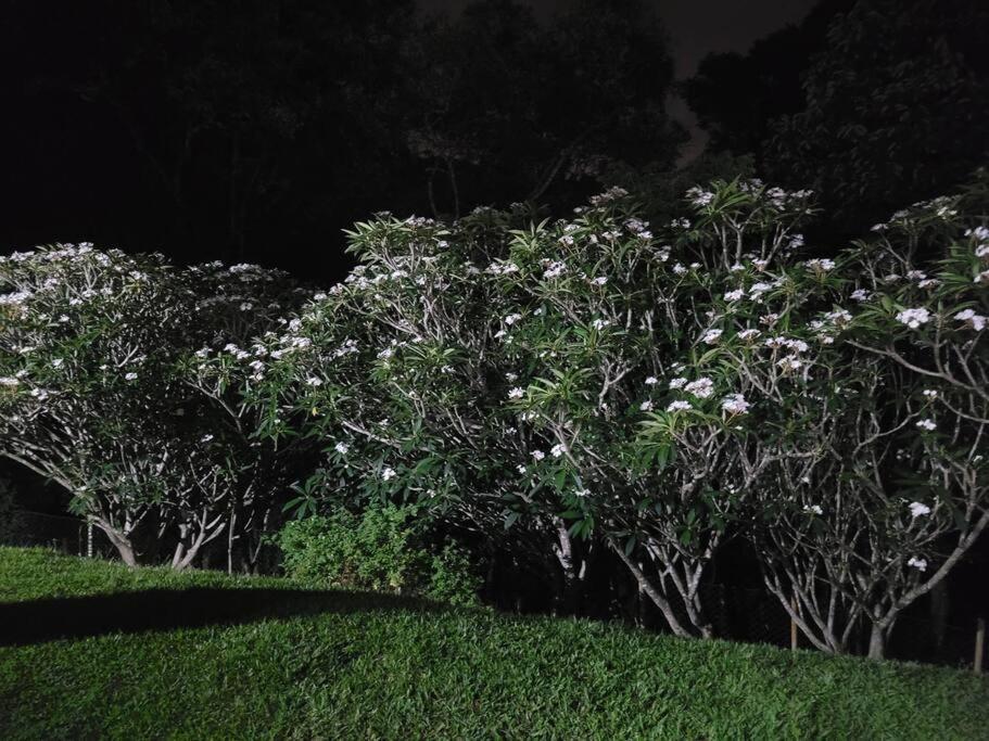 Chacara Dos Sonhos Em Mairipora Villa Kültér fotó